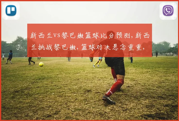 新西兰vs黎巴嫩篮球比分预测,新西兰挑战黎巴嫩,篮球对决悬念重重,精彩不容错过,拭目以待