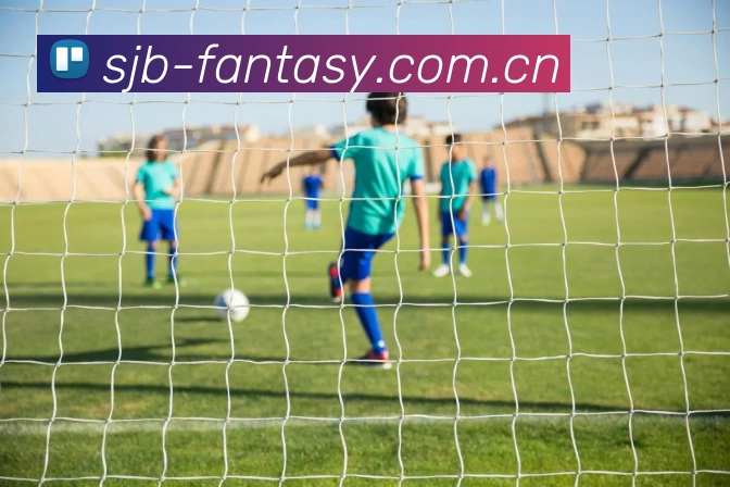 世界杯Fantasy平台生态图